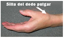 Silla del dedo pulgar